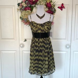 Calvin Klein Empire Pleated Silk Dress